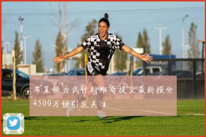 布莱顿为武什科维奇提交最新报价4500万镑引发关注