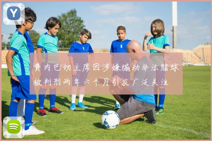 费内巴切主席因涉嫌煽动非法赌球被判刑两年六个月引发广泛关注